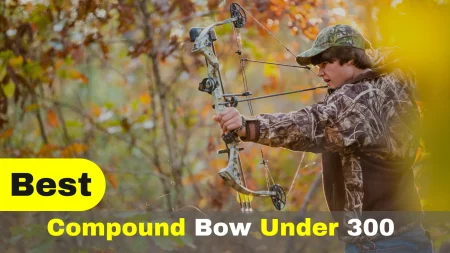 Best Compound Bow Under $300 With Complete Shopping Tips