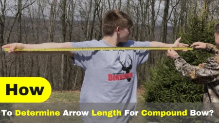 How To Determine Arrow Length For Compound Bow? #1 Guide